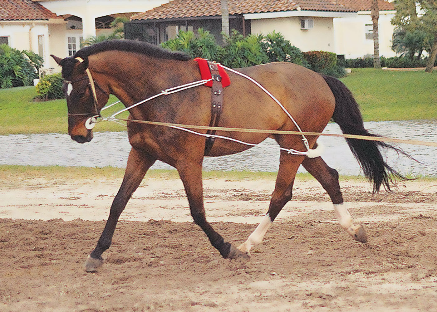 Pessoa Training System
