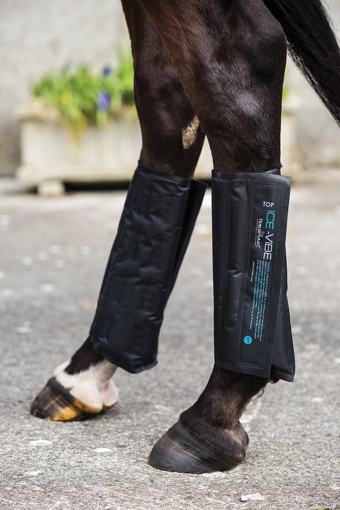 Ice Vibe Cold Pack-Long