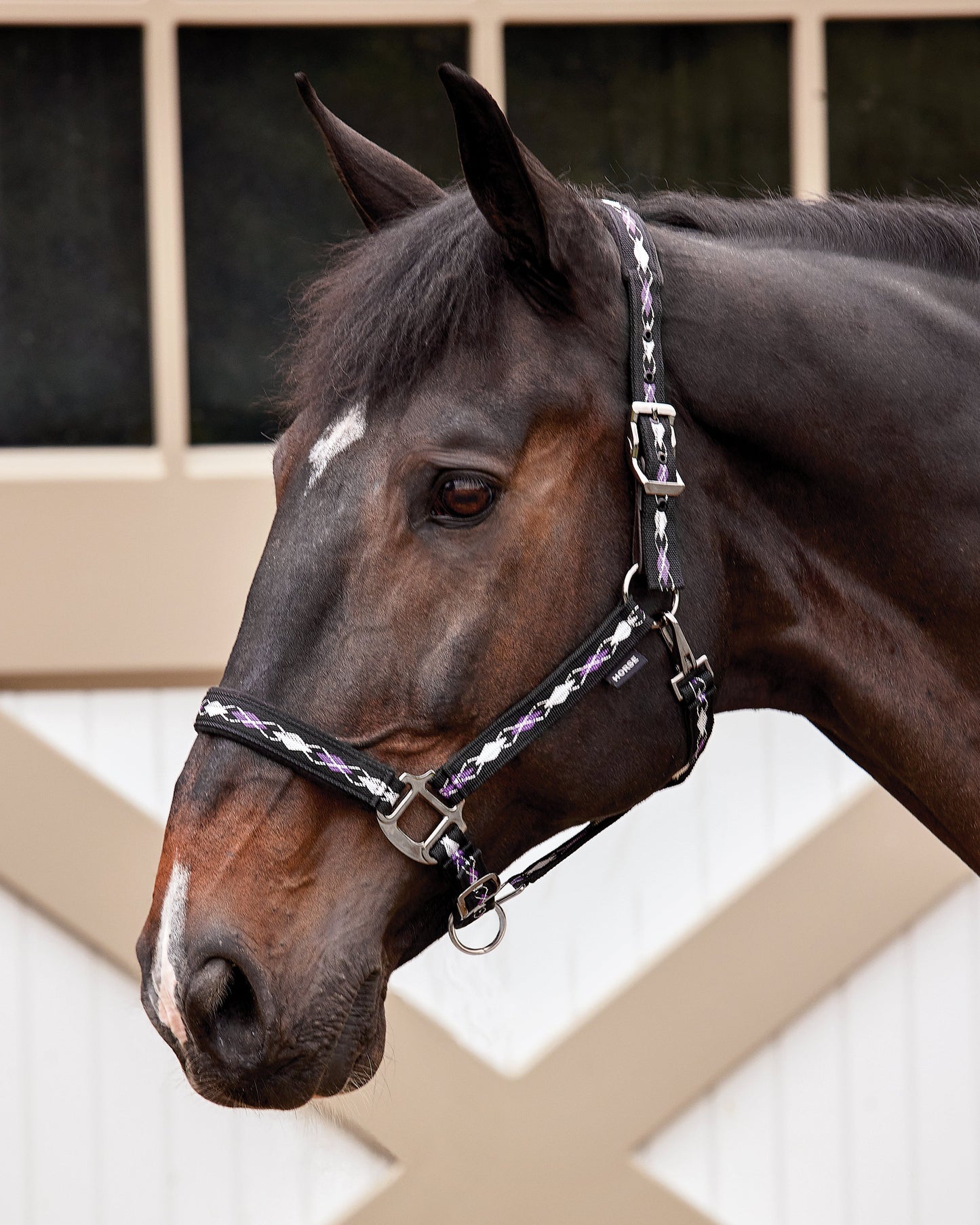 Suffolk Woven Argyle Breakaway Halter