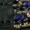 Kavalkade Button Browband