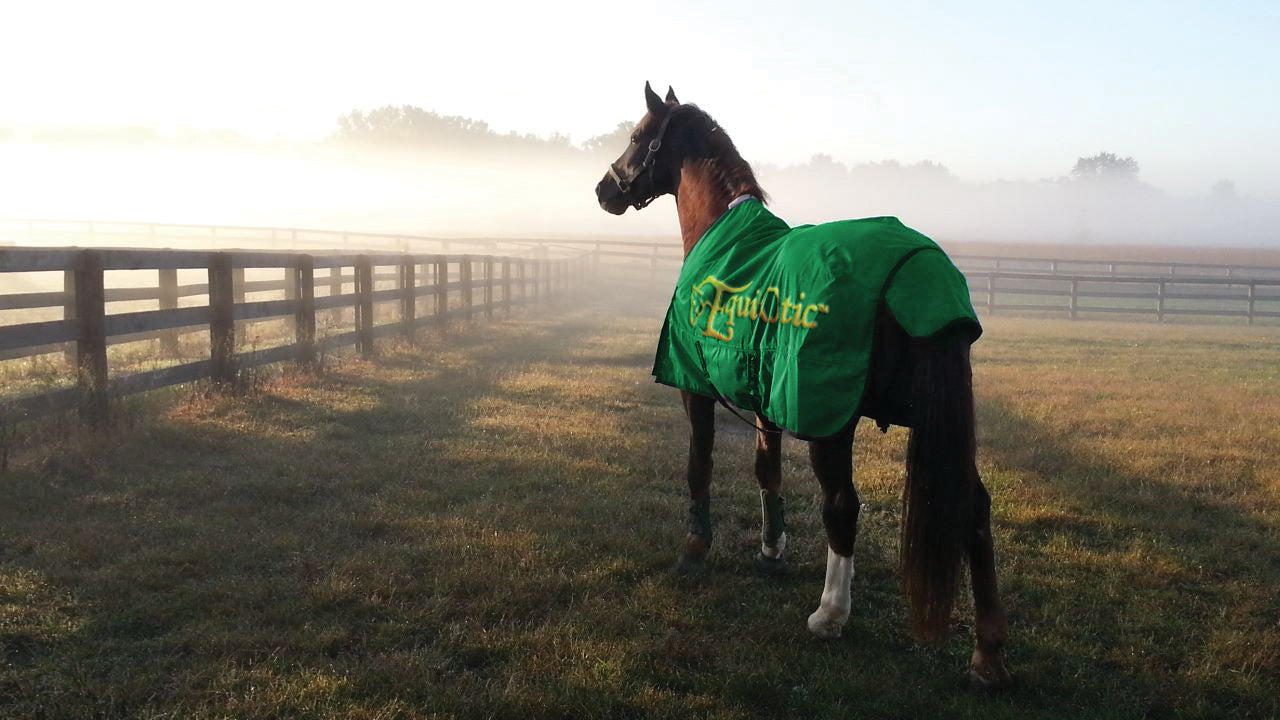 EquiOtic Daily Packets-30 day