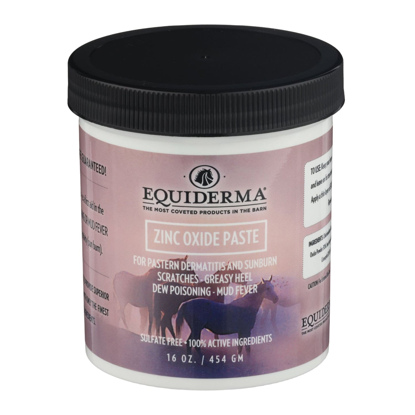 Equiderma Zinc Oxide Paste