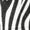 Riders International Safari Fly Sheet