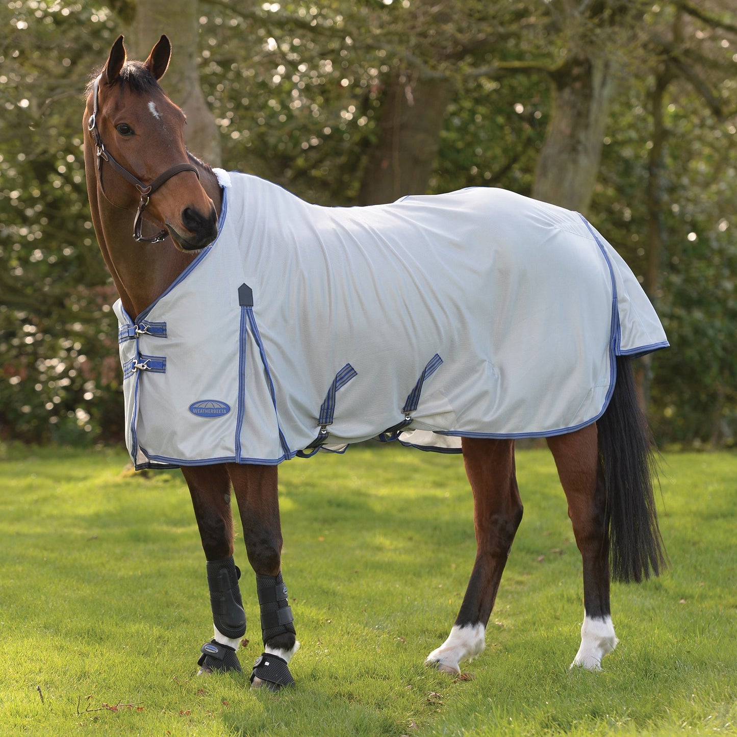 WeatherBeeta ComFiTec Airflow II Standard Neck