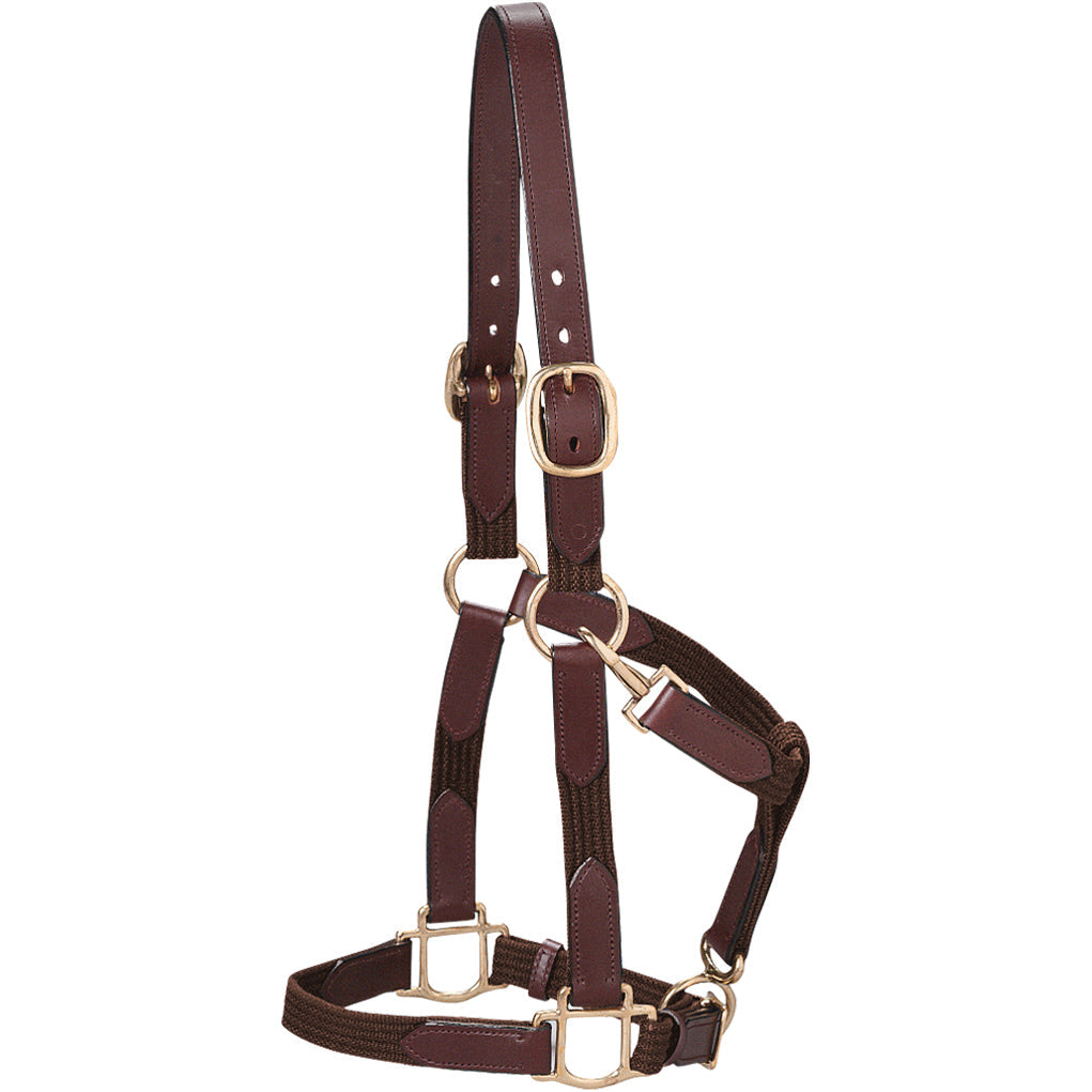 Suffolk Web Halter