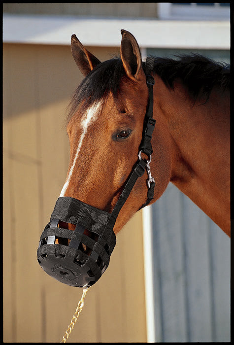 Best Friend All-In-One Grazing Muzzle