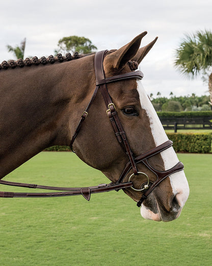 Dy'on Double Noseband