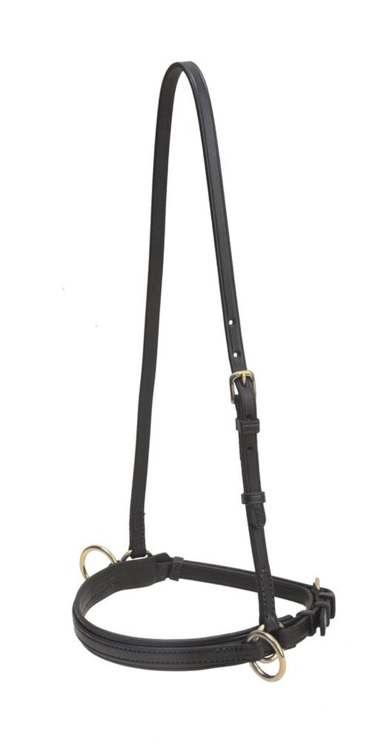 Tory Leather Company Bridle Leather Lunge Caveson