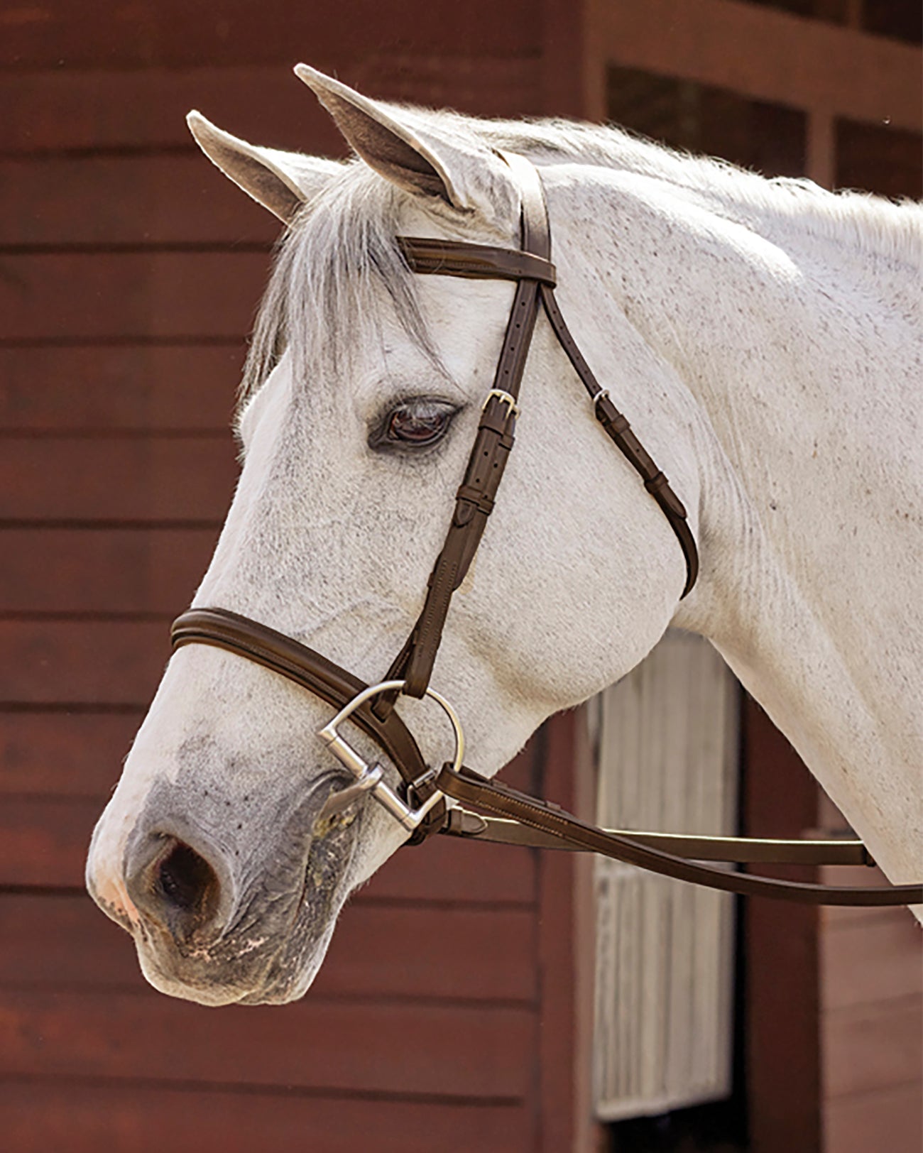 Suffolk Hunter Fancy-Stitched Bridle