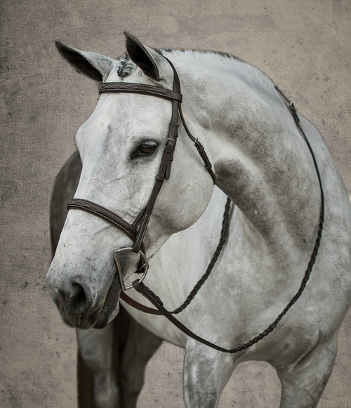 Suffolk Hunter Fancy-Stitched Bridle