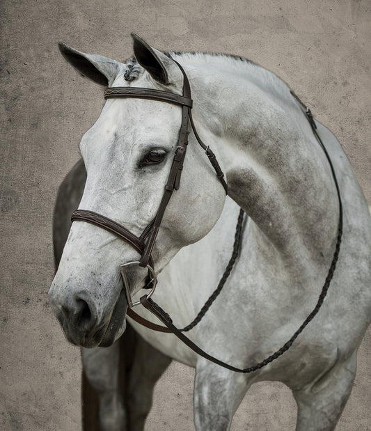 Suffolk Hunter Fancy-Stitched Bridle