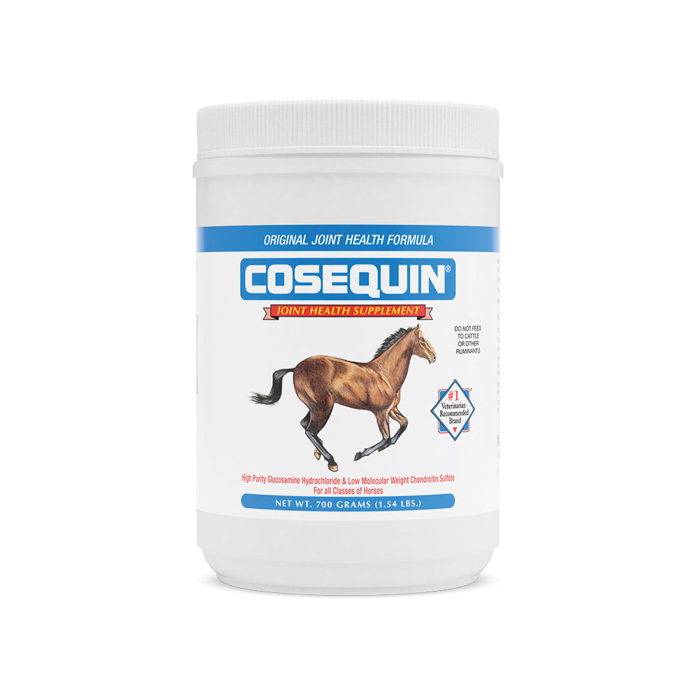 Cosequin Original Powder