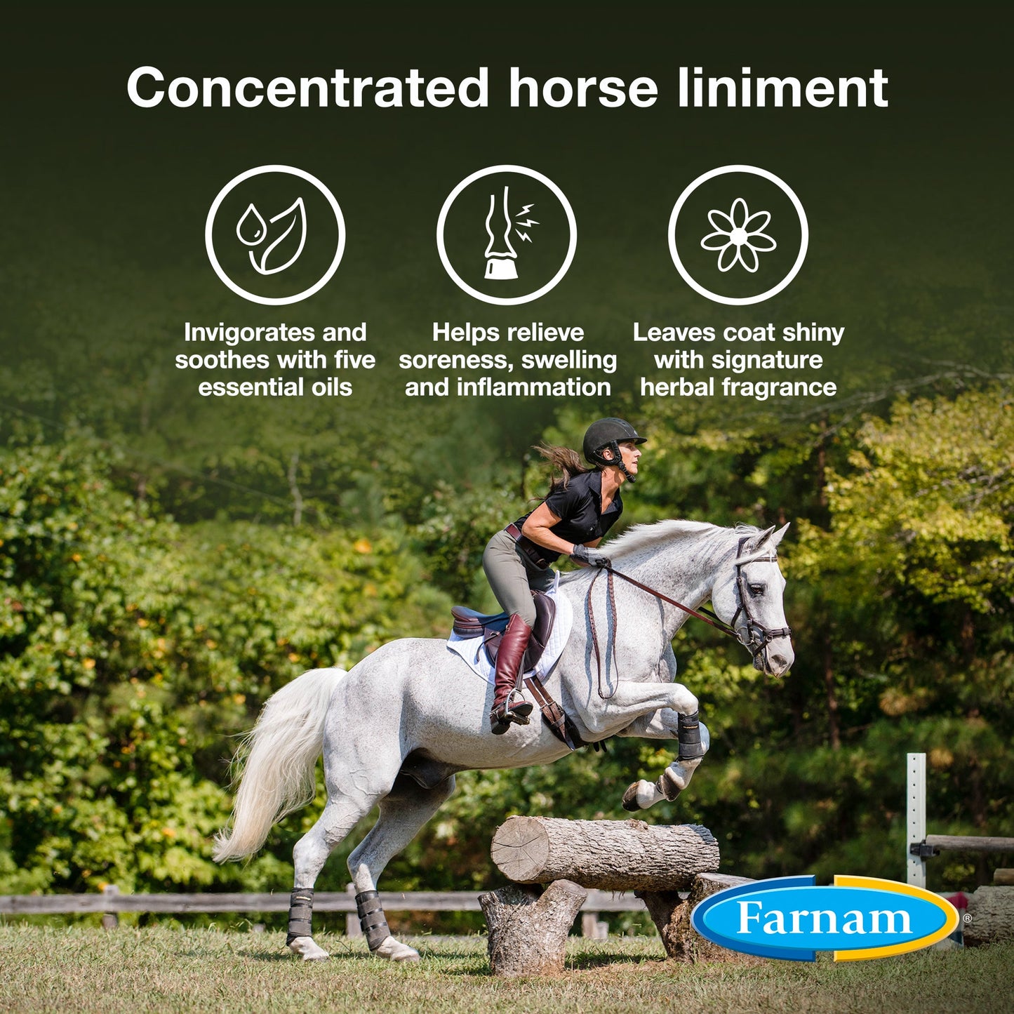 Farnam Vetrolin Liniment