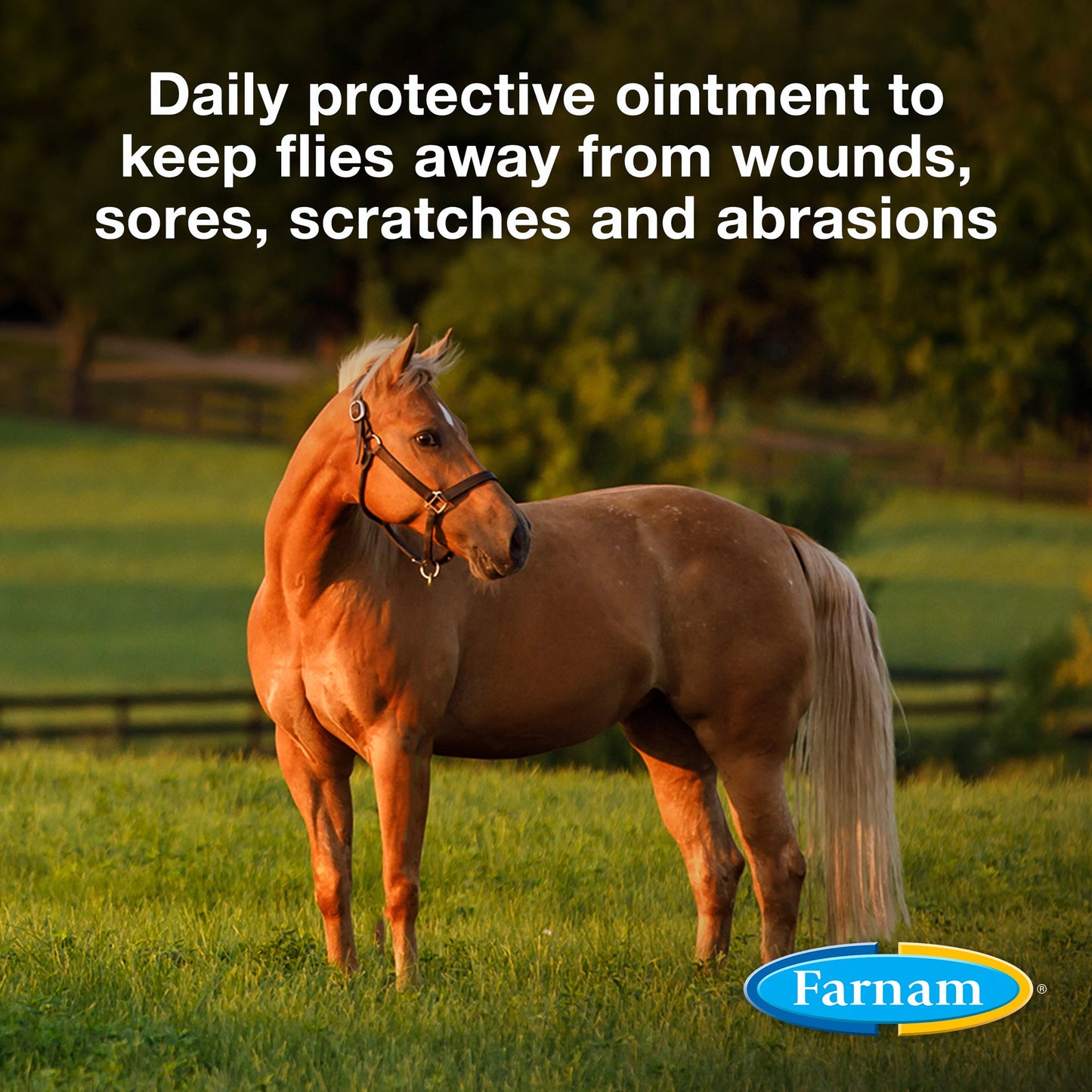 Farnam Swat Clear Fly Repellent Ointment