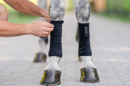 EquiFit T-Sport Wraps