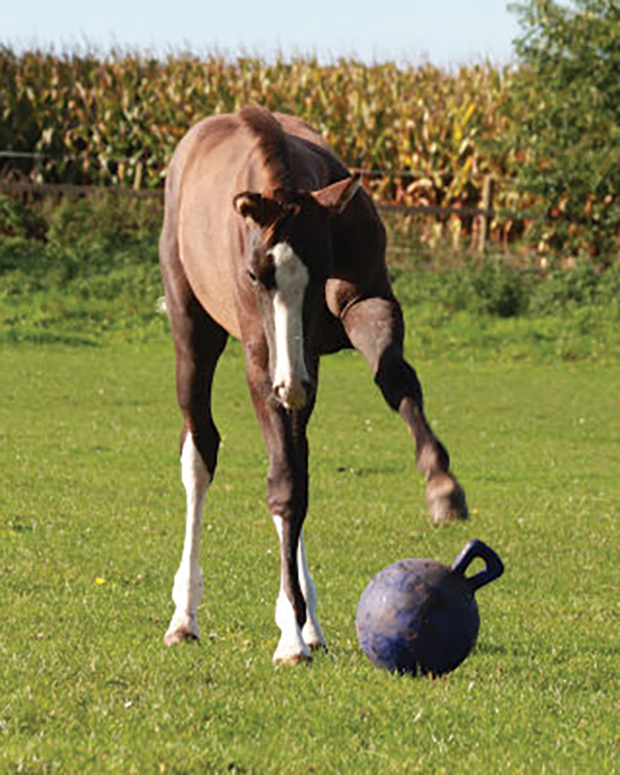 Horsemen's Pride Jolly Ball