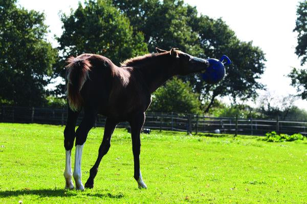 Horsemen's Pride Jolly Ball