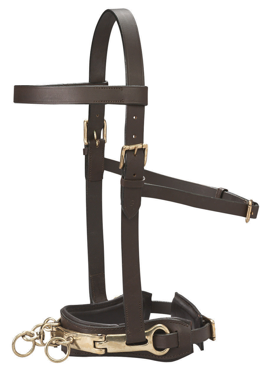 DS Leather Lunge Caveson