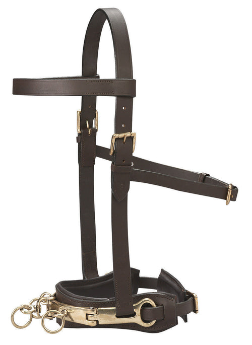 DS Leather Lunge Caveson