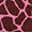 Ovation Zocks