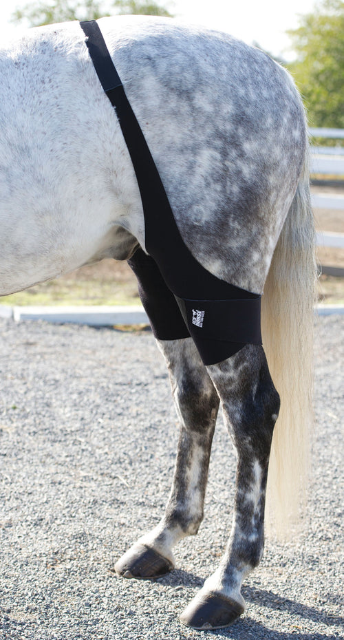 Ice Horse Stifle Wraps