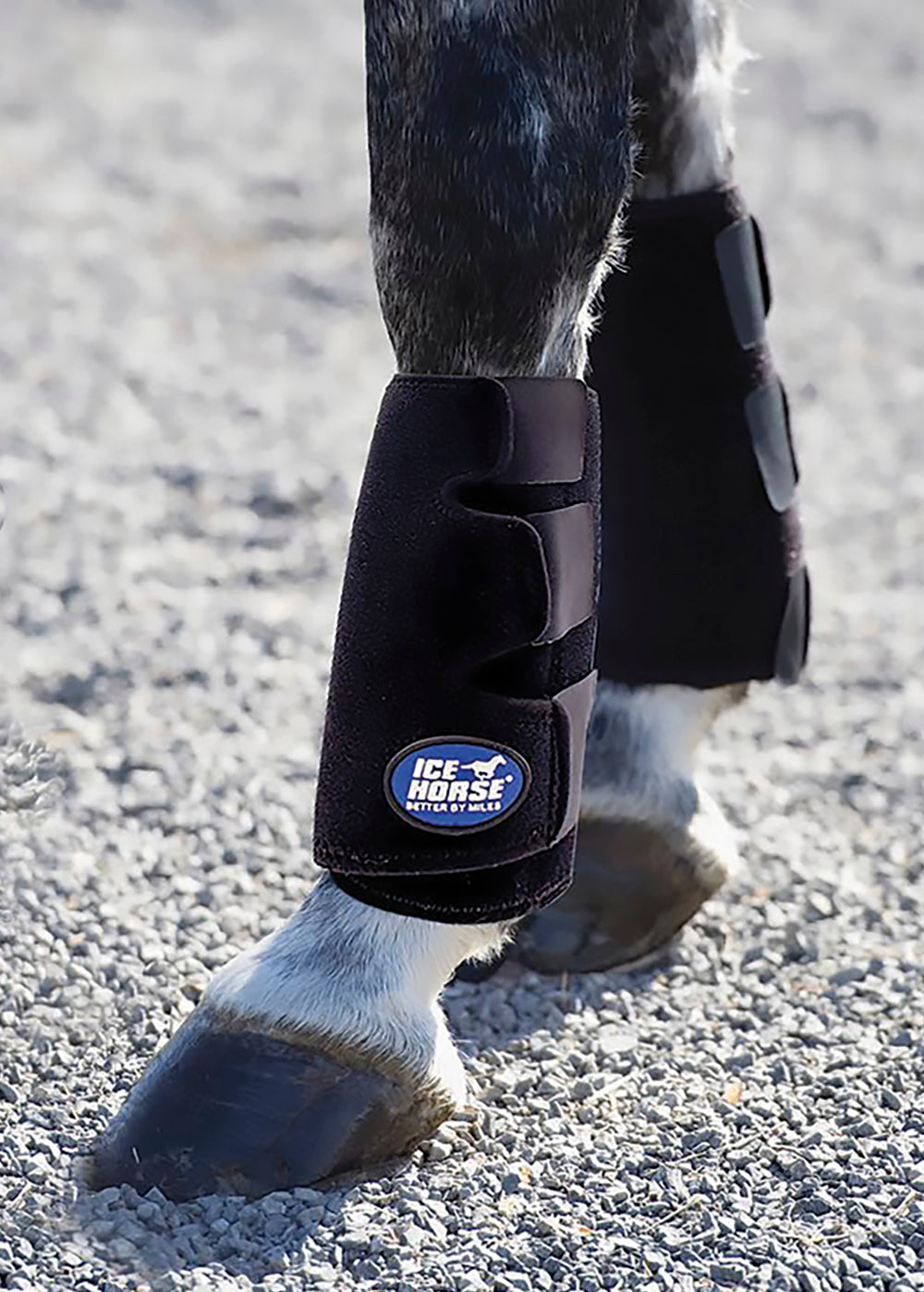 Ice Horse Tendon Boots