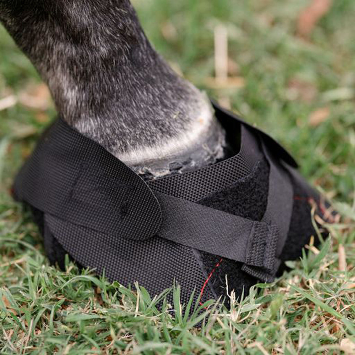 Hoof Wraps Bandage