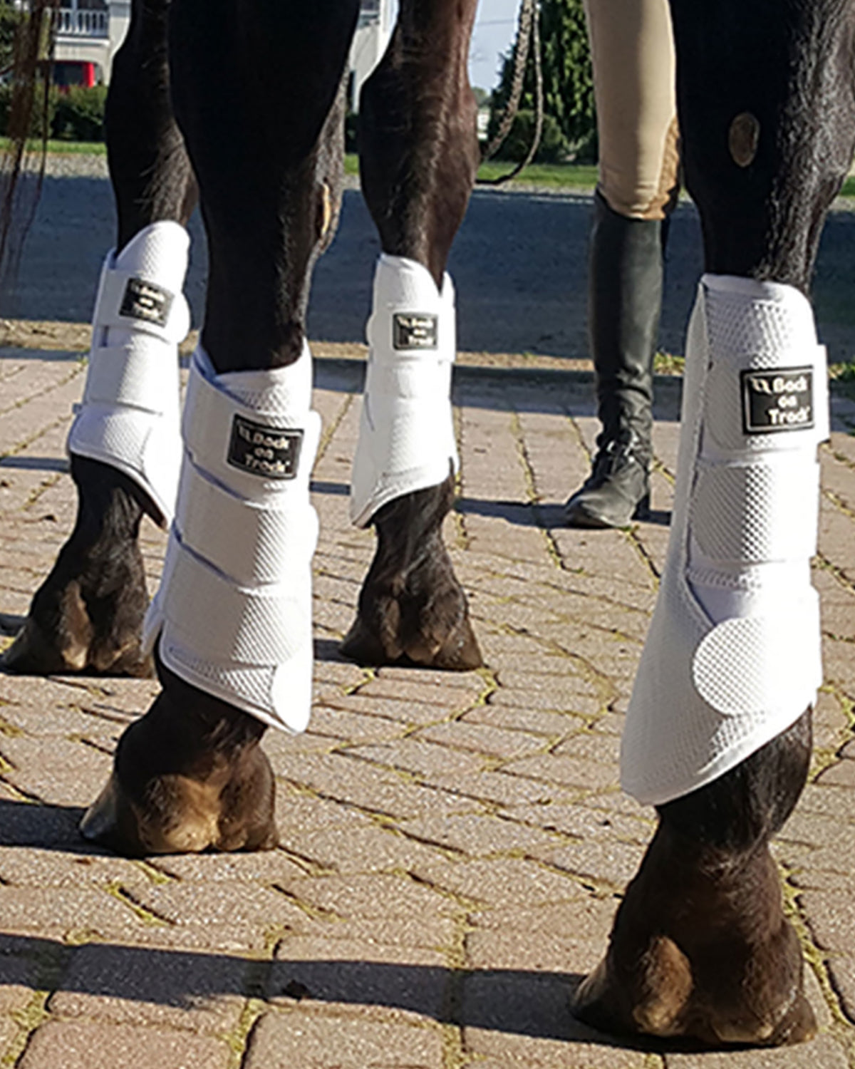 Back on Track 3D Mesh Splint Boots