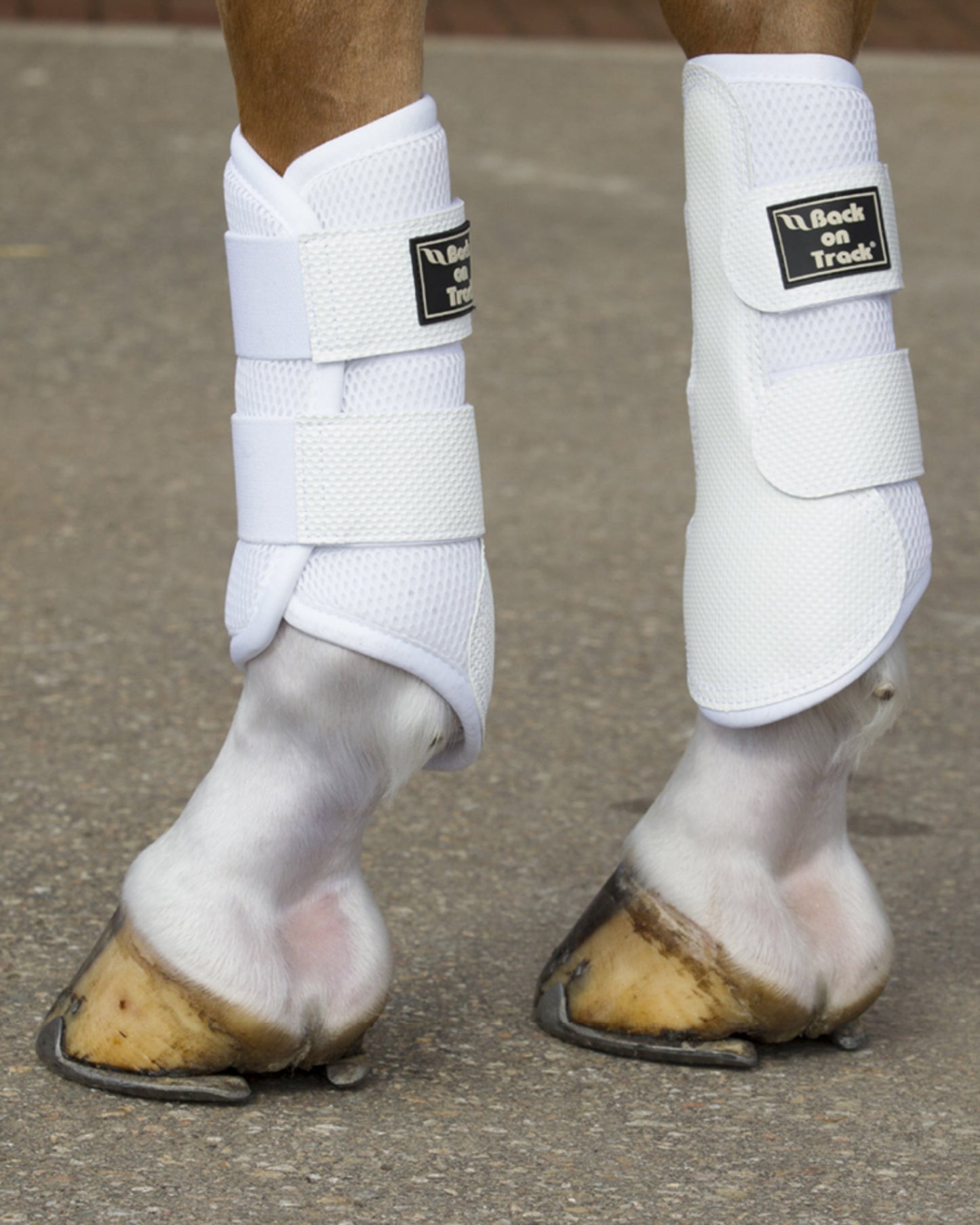 Back on Track 3D Mesh Splint Boots