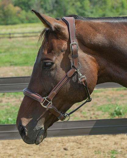 Stress Free Halter with Fancy Contrast Stitching