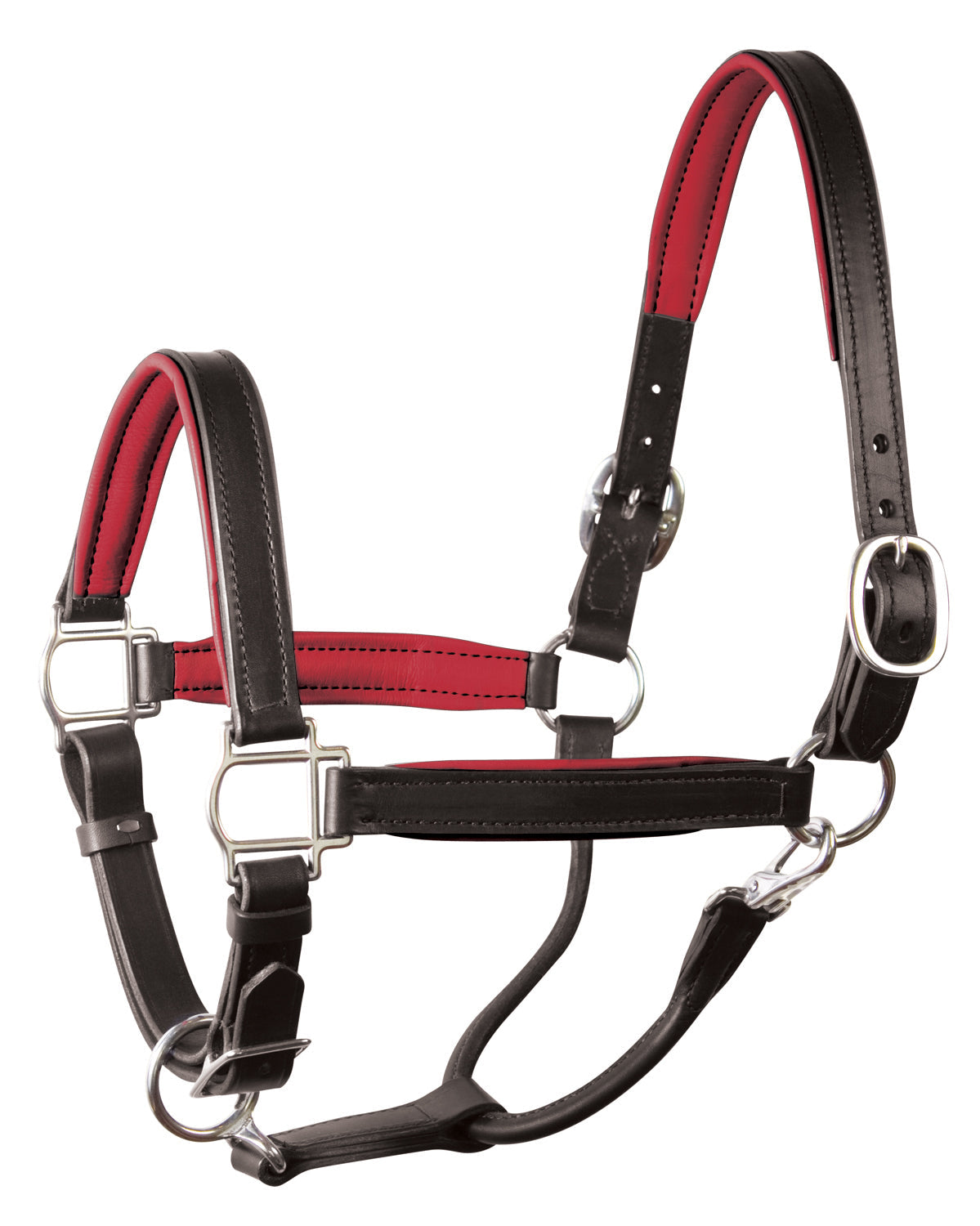 Perri’s 1" Padded Leather Halter
