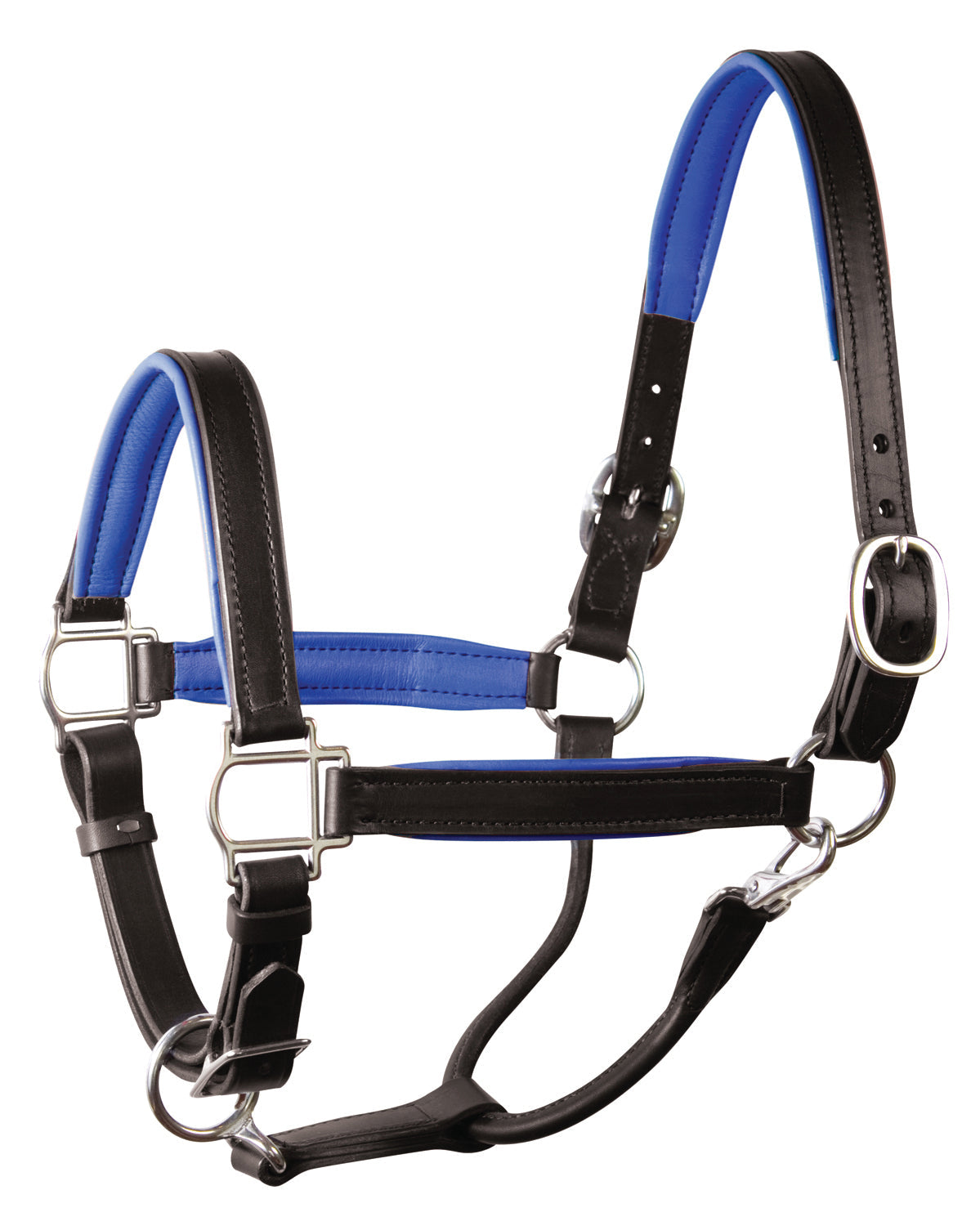 Perri’s 1" Padded Leather Halter