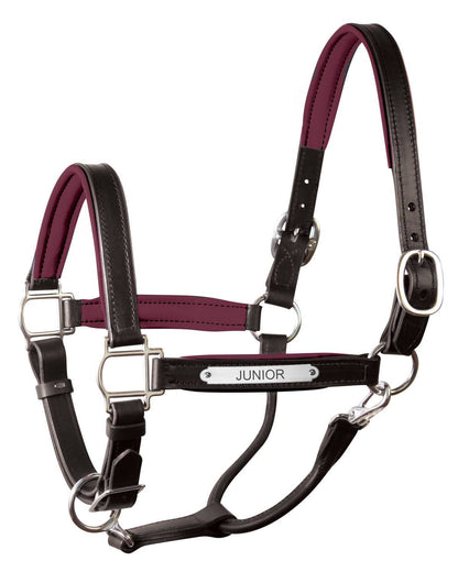 Perri’s 1" Padded Leather Halter