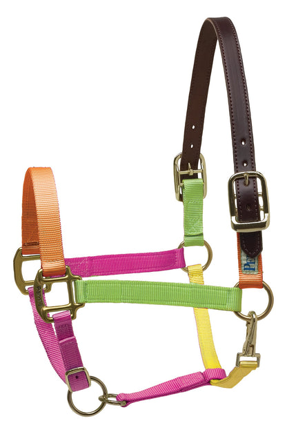 Perri’s Premium Nylon Breakaway Halter