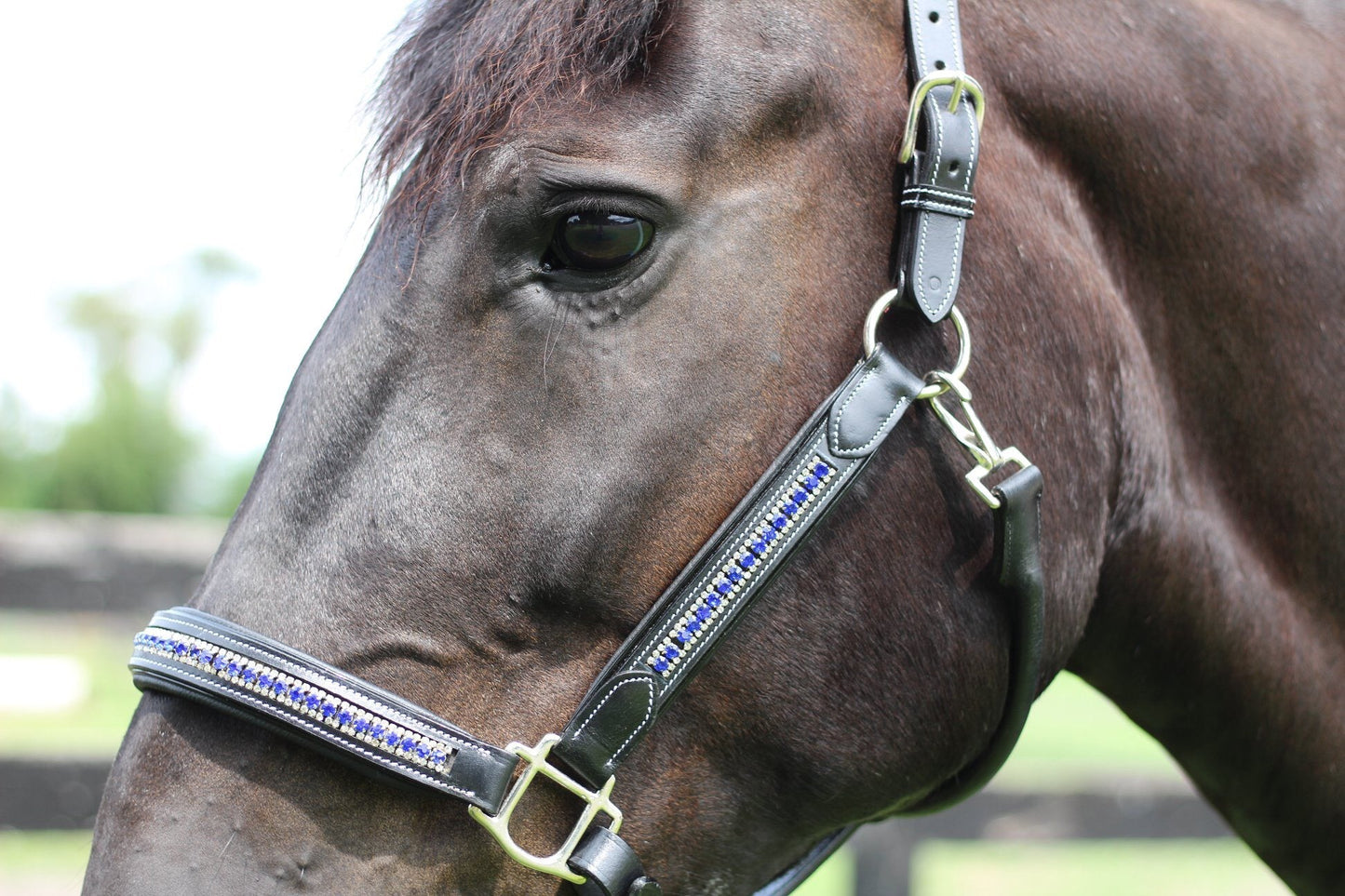 HDR Padded Jewel Halter