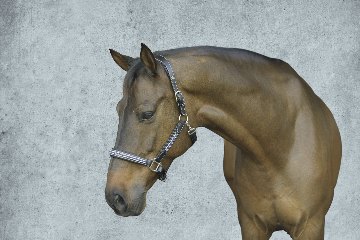 HDR Padded Jewel Halter