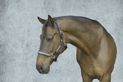 HDR Padded Jewel Halter
