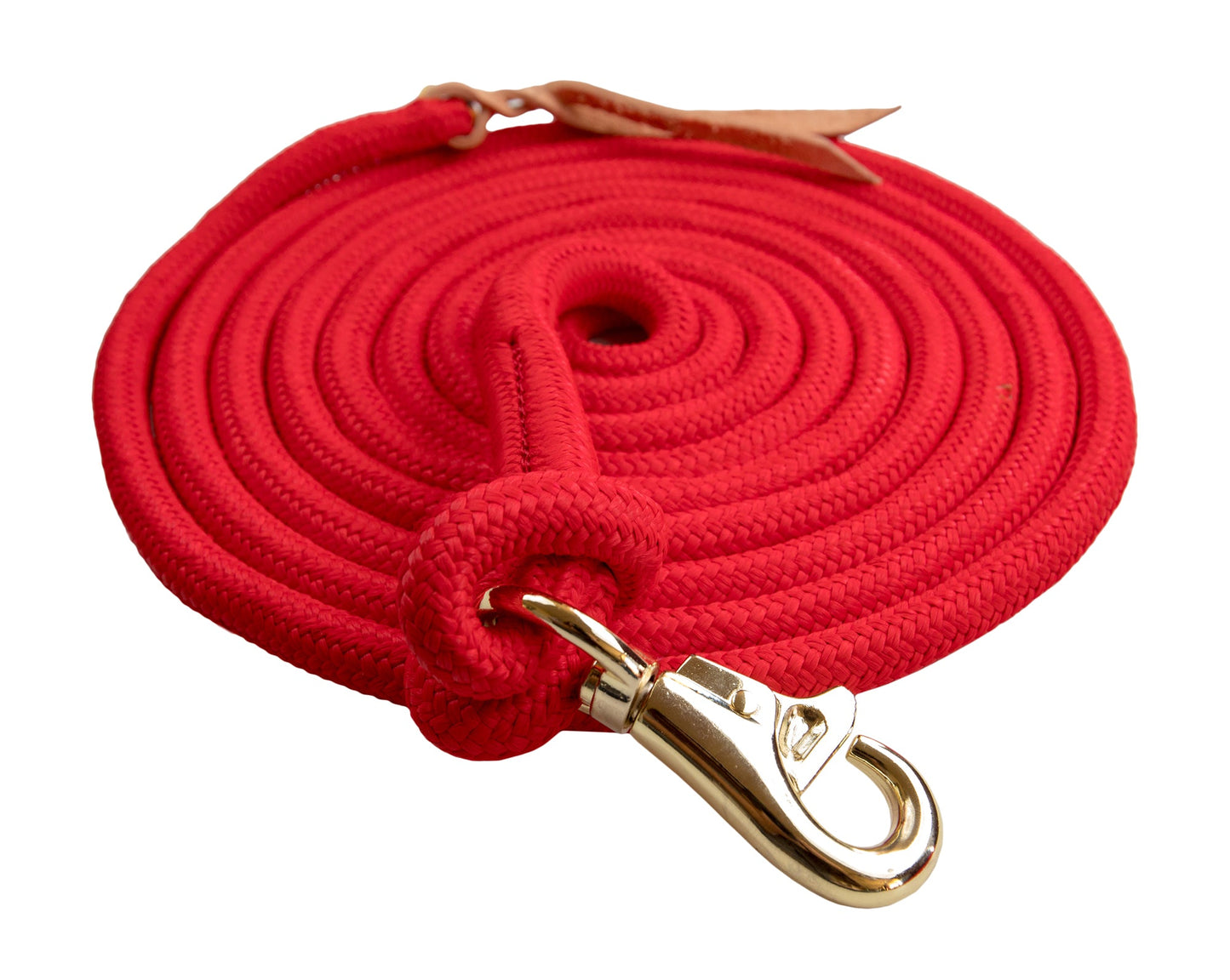 Kensington Clinician Tricolored Training Lead 15'
