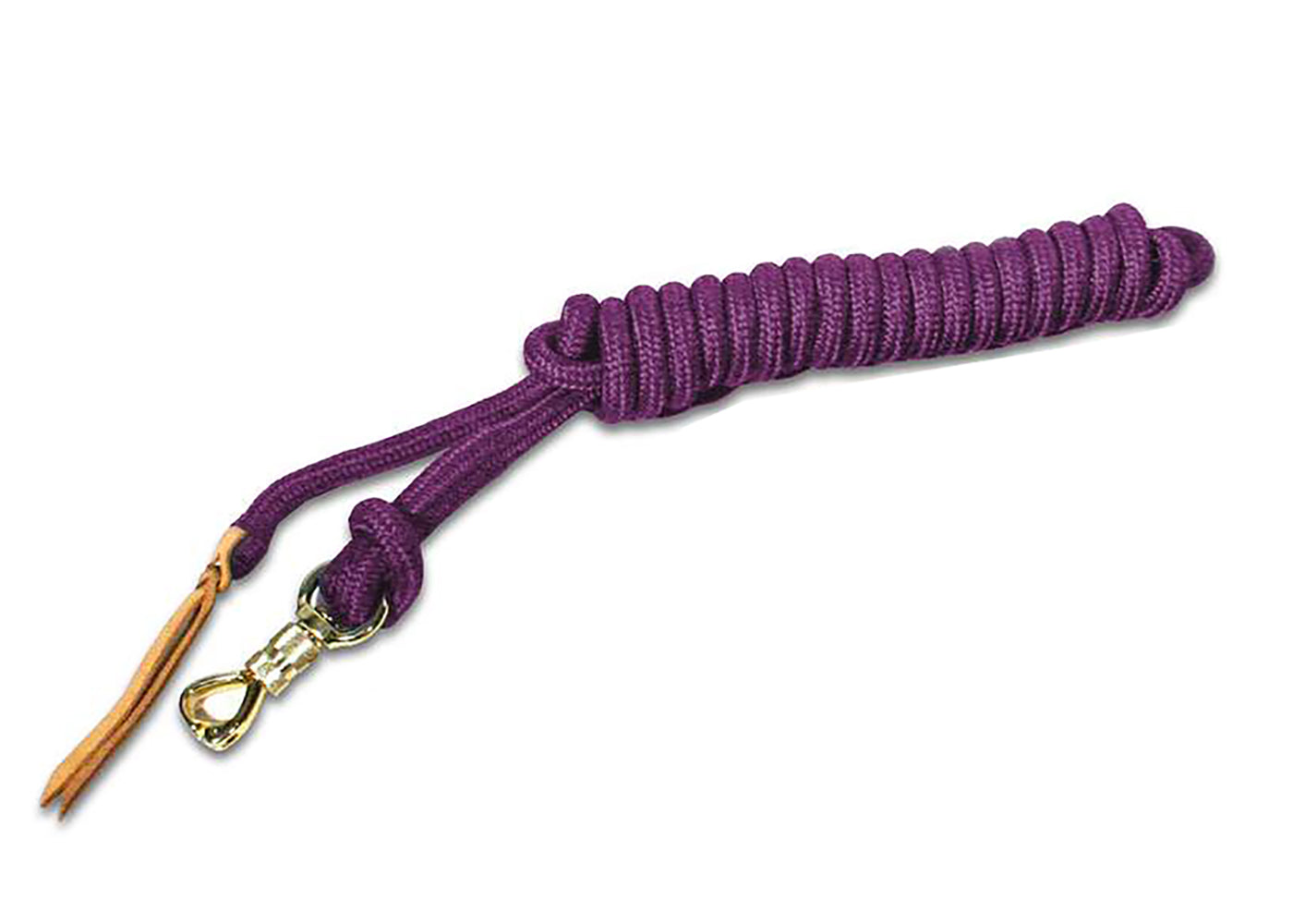 Kensington Clinician Tricolored Training Lead 15'