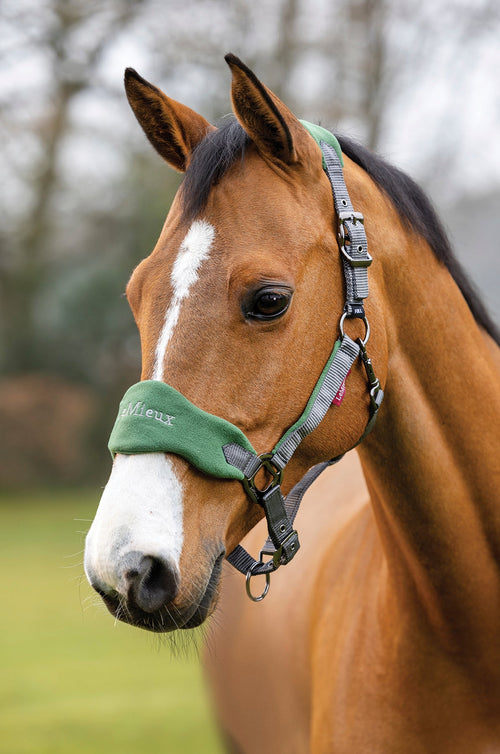 LeMieux Vogue Halter & Rope Lead Set