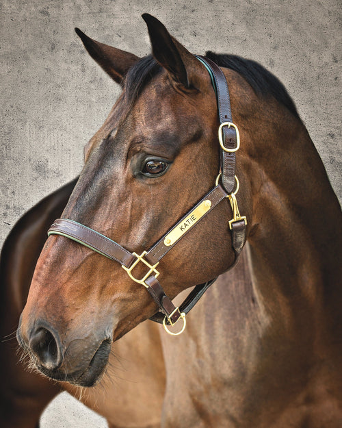 Showmark Classic Fancy-Stitched Leather Halter