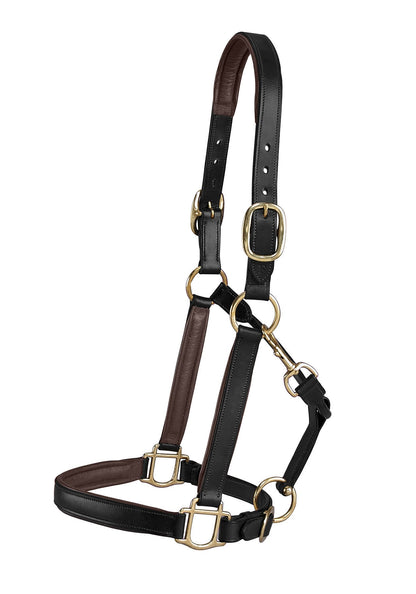 Suffolk Lined Halter
