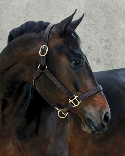Suffolk Palermo Triple-Stitched Halter