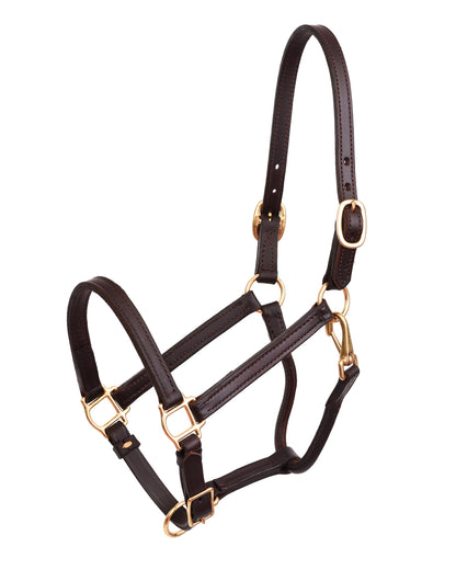 Perri’s 3/4" Premium Leather Show Halter