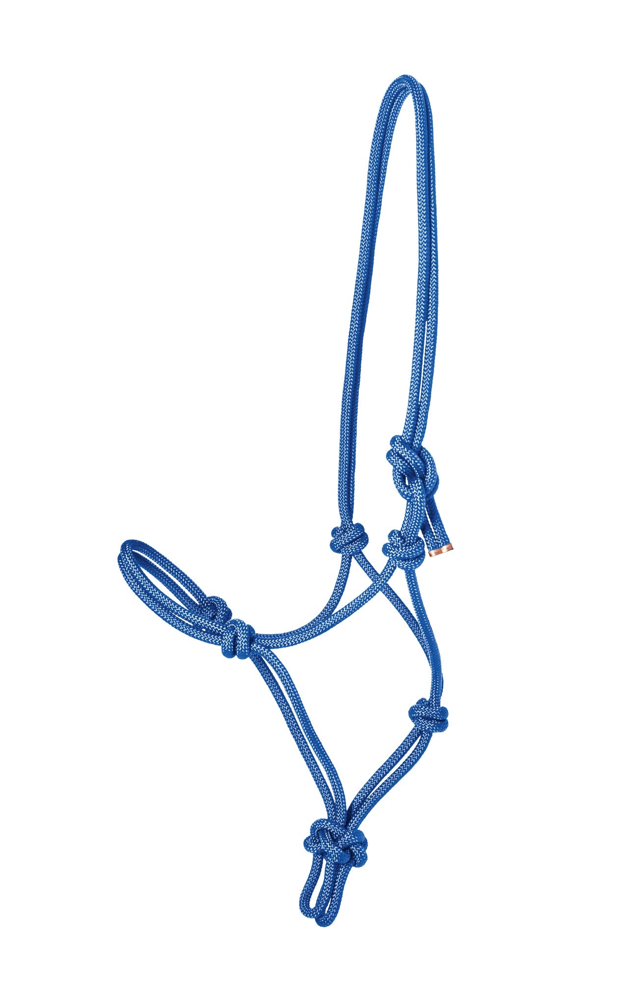 Suffolk Rope Halter with Lead