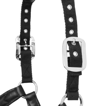 LeMieux Capella Halter
