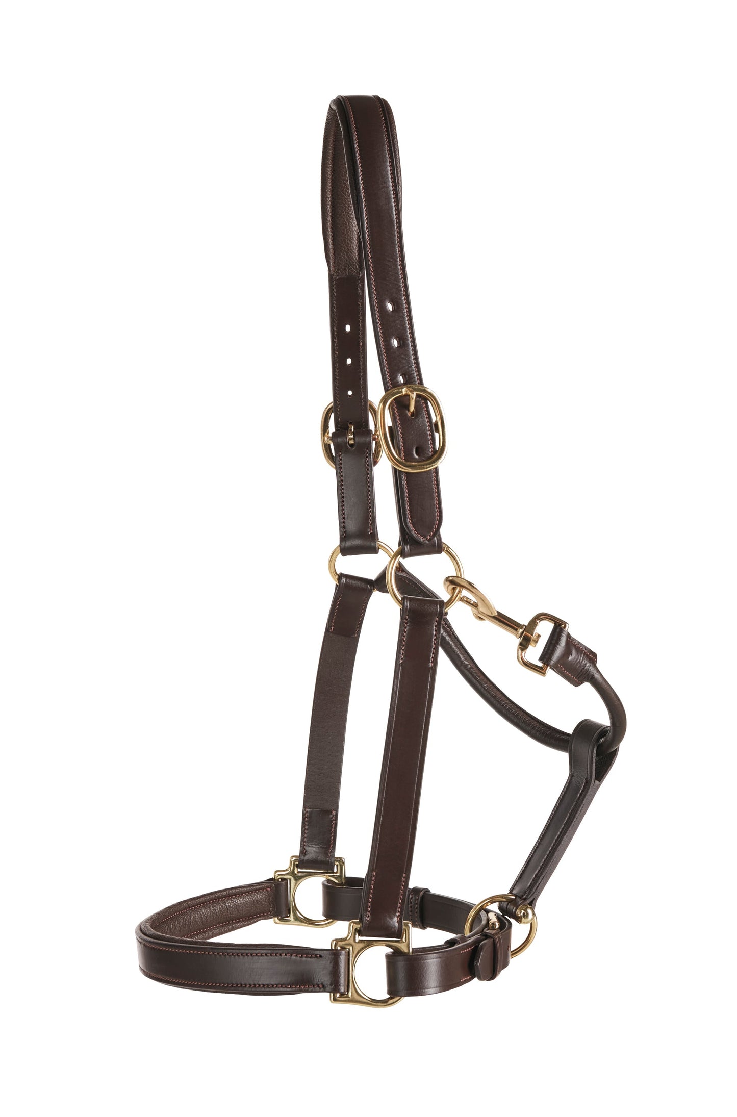 Suffolk Everyday Halter