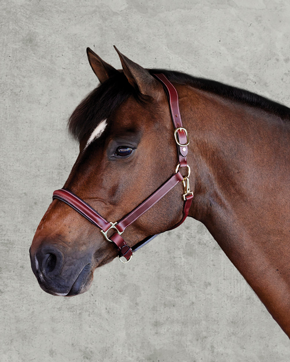 Suffolk Ergonomic Halter