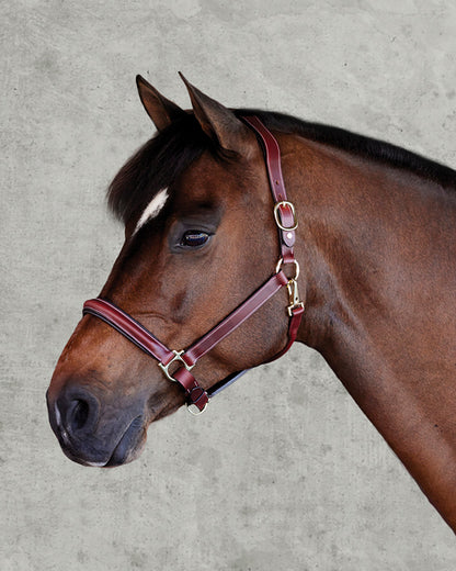 Suffolk Ergonomic Halter