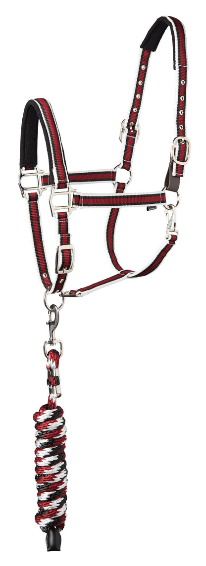 Suffolk Padded Striped Breakaway Halter & Lead